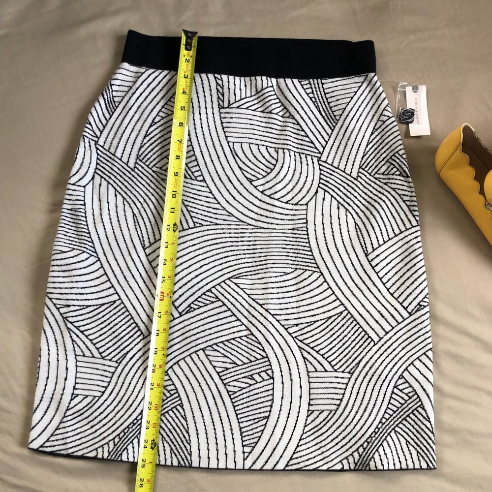 Anthropologie Sweater Skirt